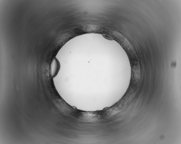 X0000103490380200810031611