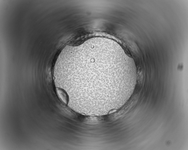 X0000103490381200810031611