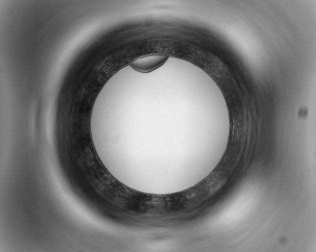 X0000103490383200810031611