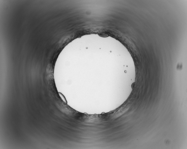 X0000103490384200810031611