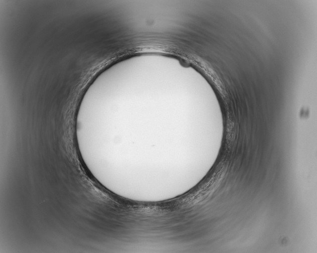 X0000103490385200810031610