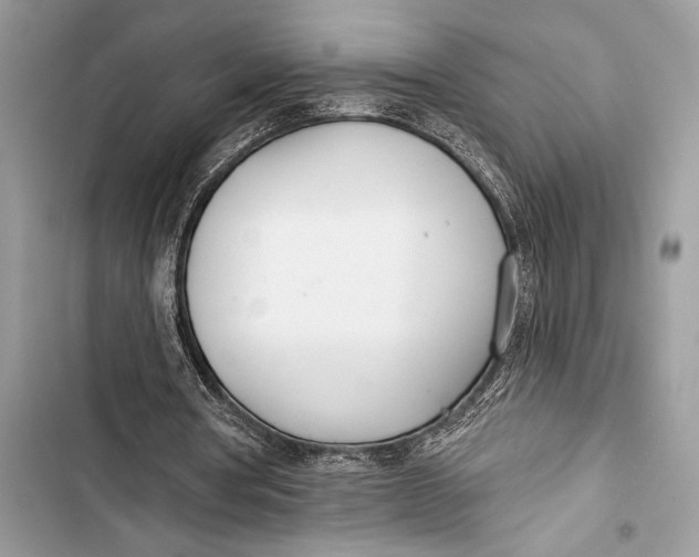 X0000103490386200810031610