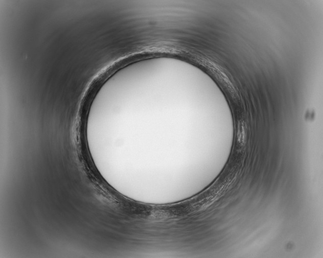 X0000103490388200810031610