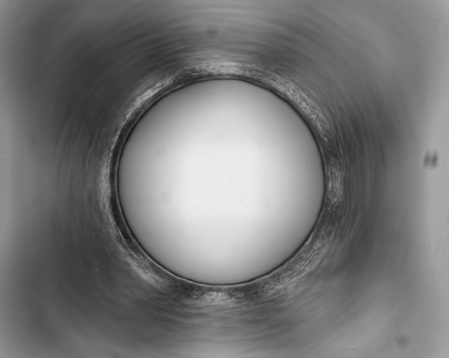 X0000103490390200810031610