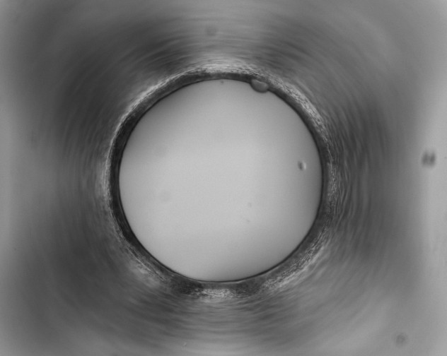 X0000103490391200810031610