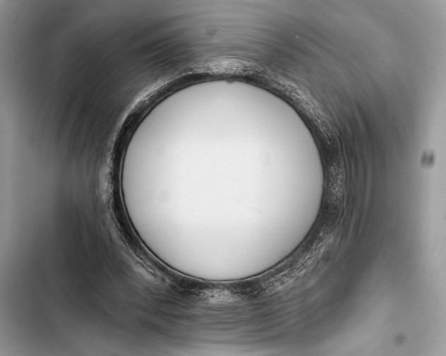 X0000103490392200810031610