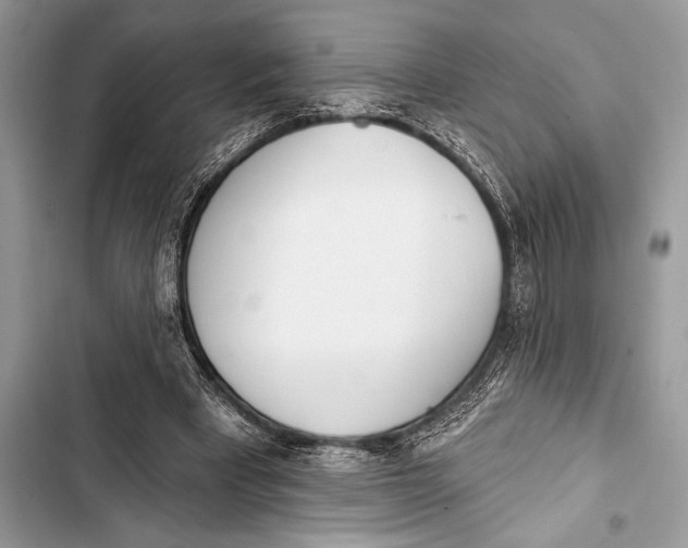 X0000103490393200810031610