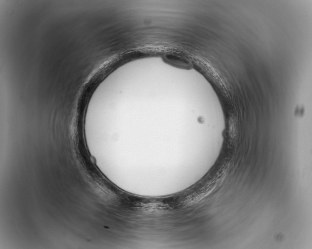 X0000103490396200810031610