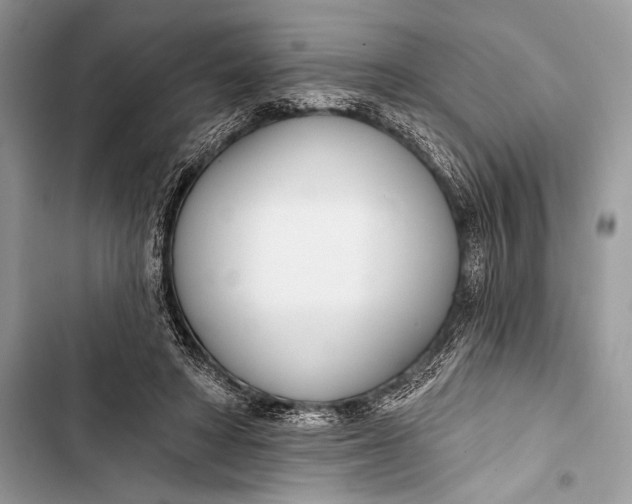 X0000103490402200810031610