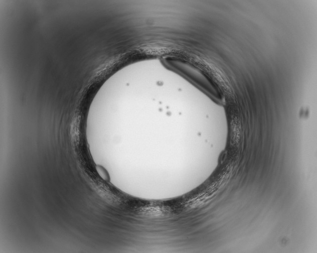 X0000103490404200810031610