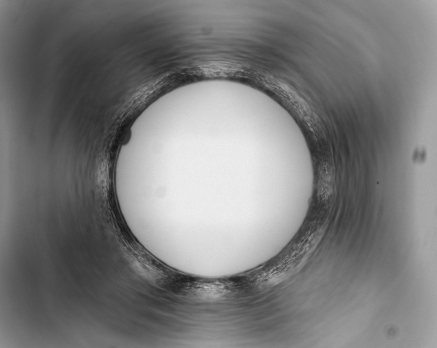 X0000103490405200810031610