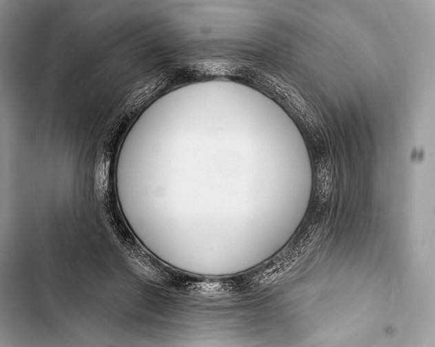 X0000103490406200810031610