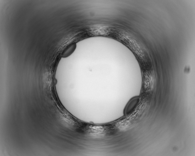 X0000103490409200810031610