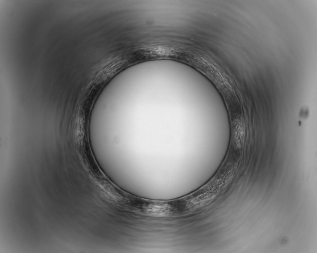 X0000103490410200810031610