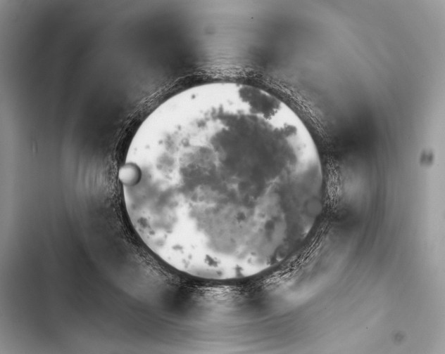 X0000103490411200810031610