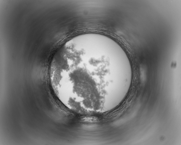 X0000103490415200810031610