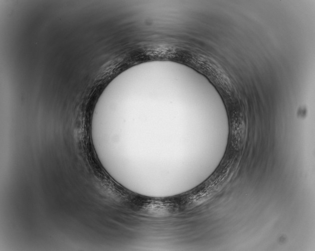 X0000103490416200810031610