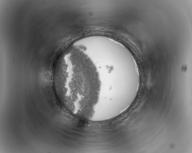 X0000103490419200810031610