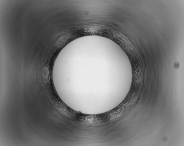 X0000103490420200810031610