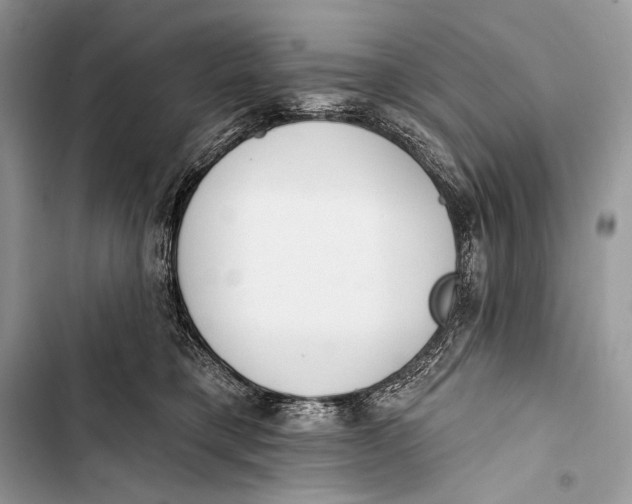 X0000103490421200810031610