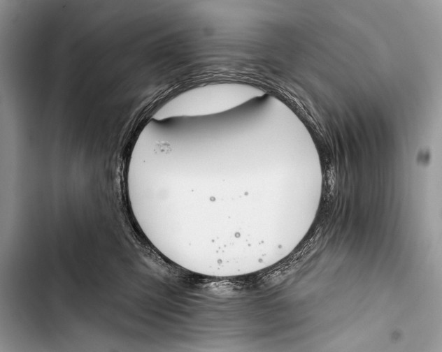 X0000103490423200810031610