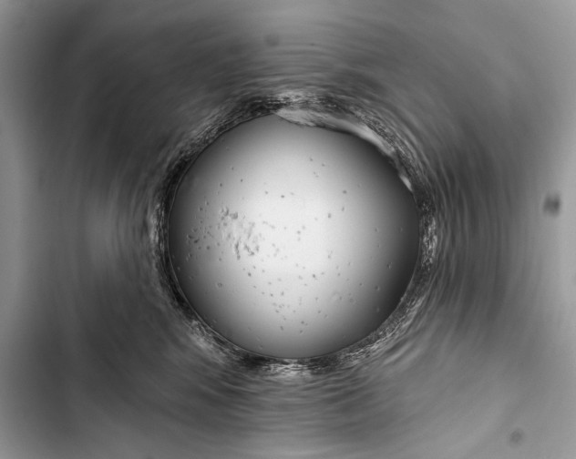 X0000103490424200810031610