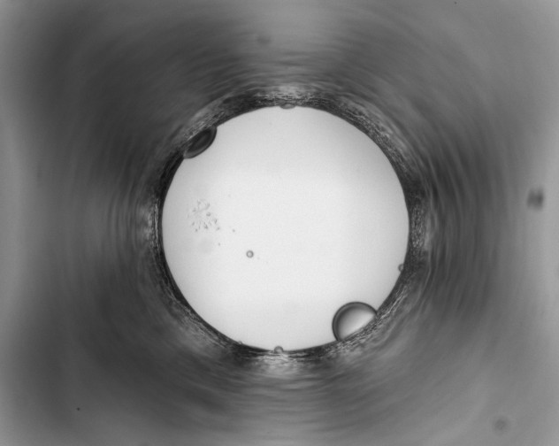 X0000103490425200810031610