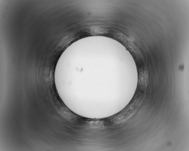 X0000103490426200810031610