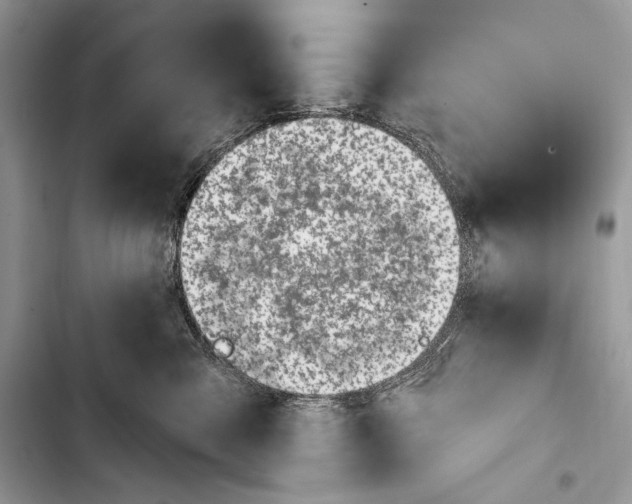 X0000103490427200810031610