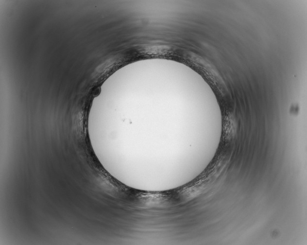 X0000103490428200810031610