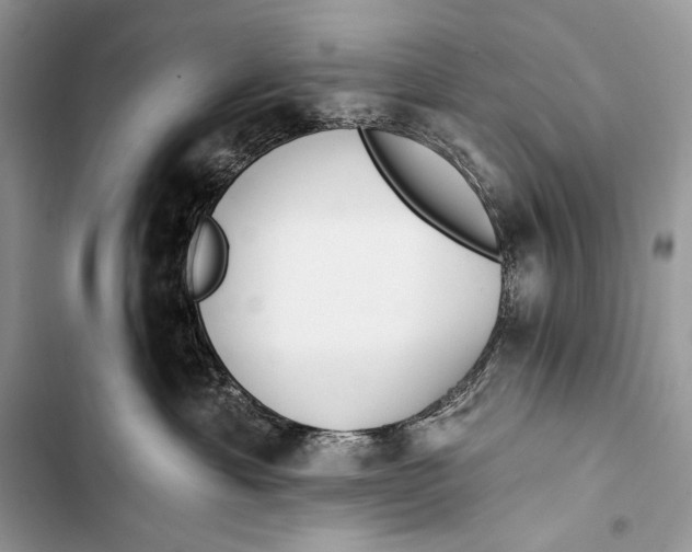 X0000103490429200810031610