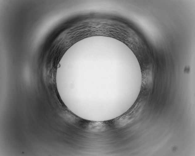 X0000103490431200810031610