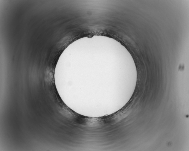 X0000103490432200810031610