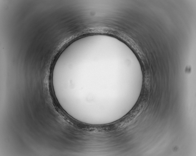 X0000103490434200810031609