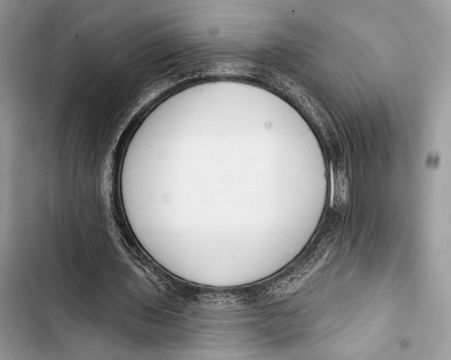 X0000103490435200810031609