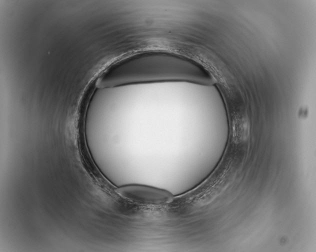 X0000103490436200810031609