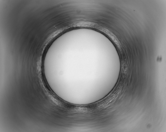 X0000103490437200810031609