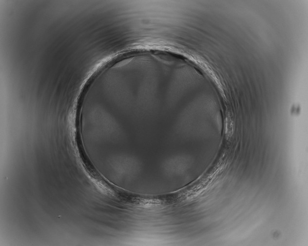 X0000103490438200810031609