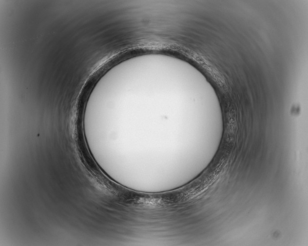 X0000103490440200810031609