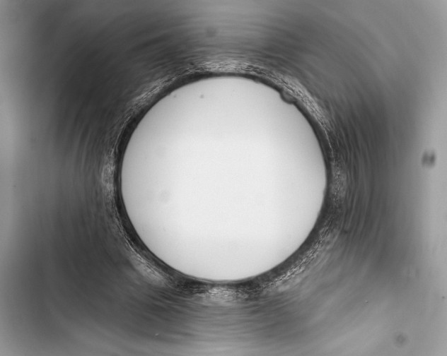 X0000103490441200810031609