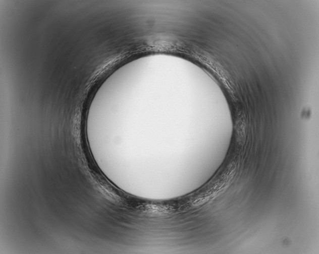 X0000103490442200810031609