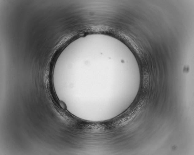 X0000103490443200810031609