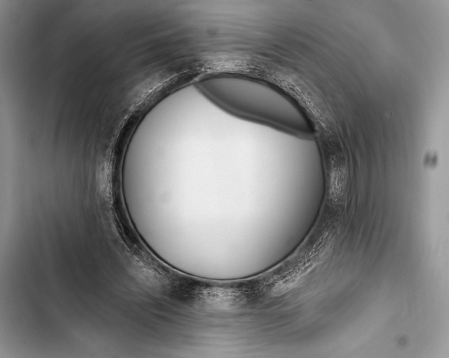 X0000103490444200810031609