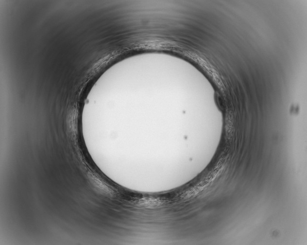 X0000103490445200810031609