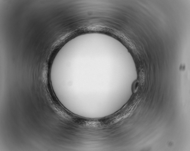 X0000103490446200810031609