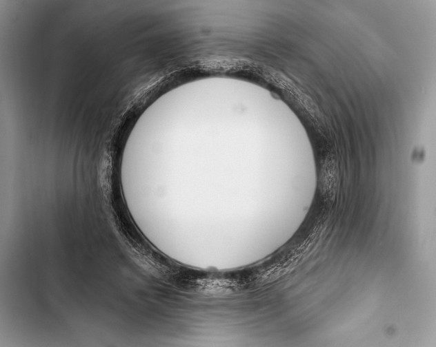 X0000103490448200810031609