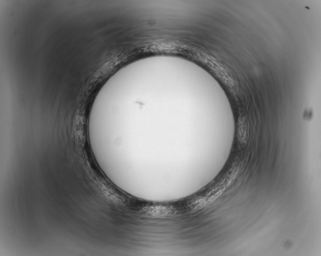 X0000103490449200810031609