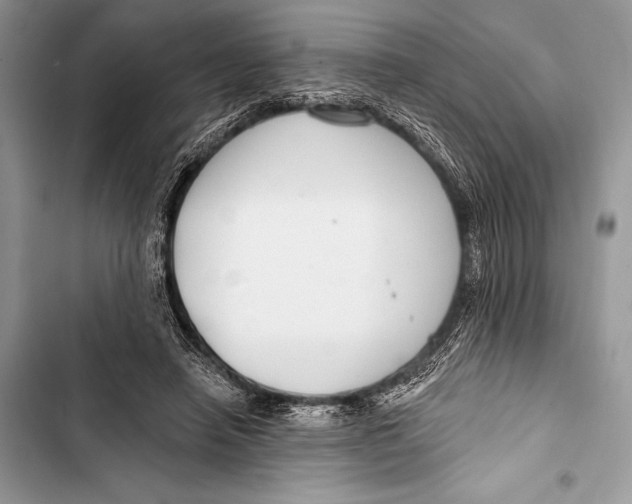 X0000103490450200810031609