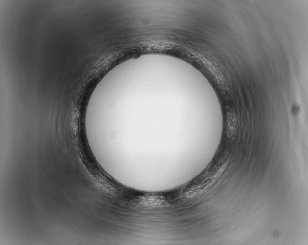 X0000103490451200810031609