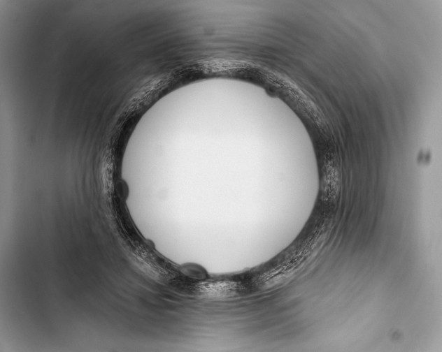 X0000103490452200810031609